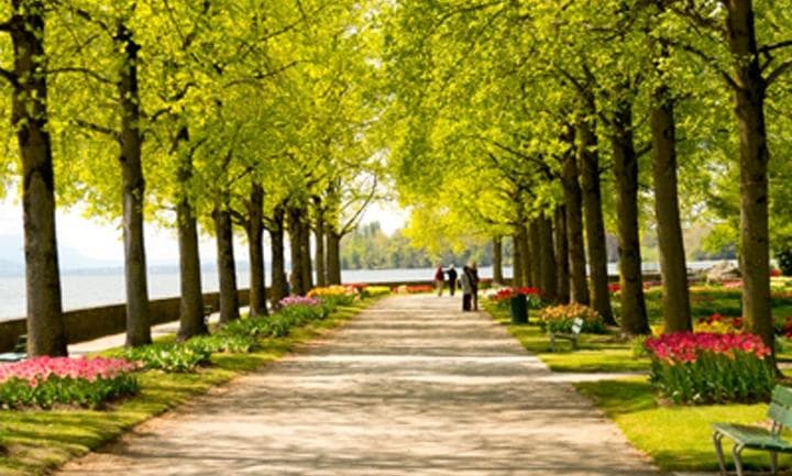 Morges park and green spaces